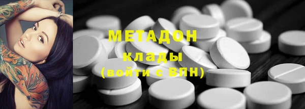 ПСИЛОЦИБИНОВЫЕ ГРИБЫ Дмитриев